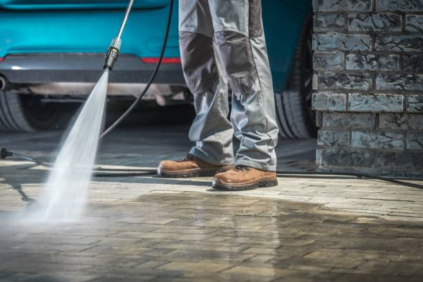Best Soft Washing  in Kenly, NC