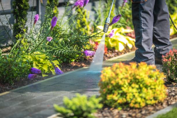 Best Patio and Deck Pressure Washing  in Kenly, NC